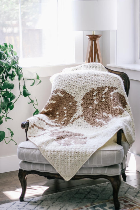 Monstera C2C Blanket Crochet Pattern